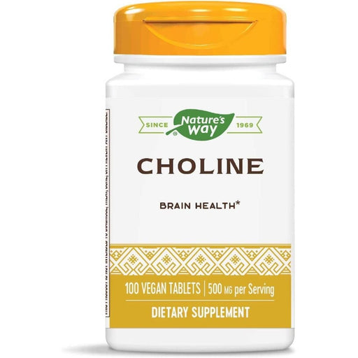 Nature's Way Choline 500mg 100 Vegan Tablets | Premium Supplements at MYSUPPLEMENTSHOP