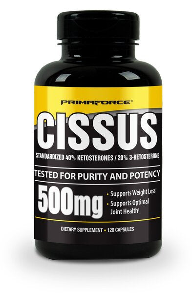 Primaforce Cissus, Capsules - 120 vcaps | High-Quality Joint Support | MySupplementShop.co.uk